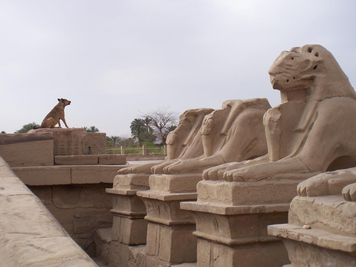 Luxor Vip Apartments Exterior photo